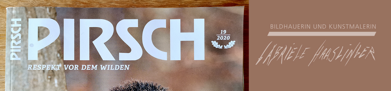 Cover Image der News